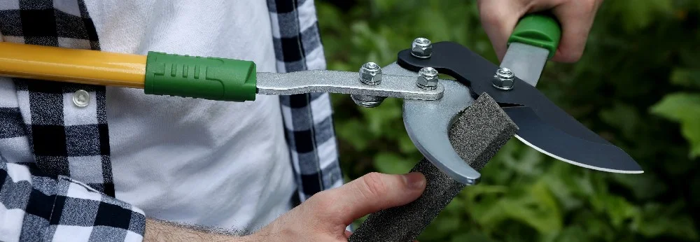 Person schärft Gartenschere